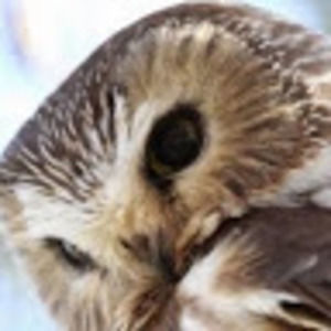 Meet your Posher, Kana